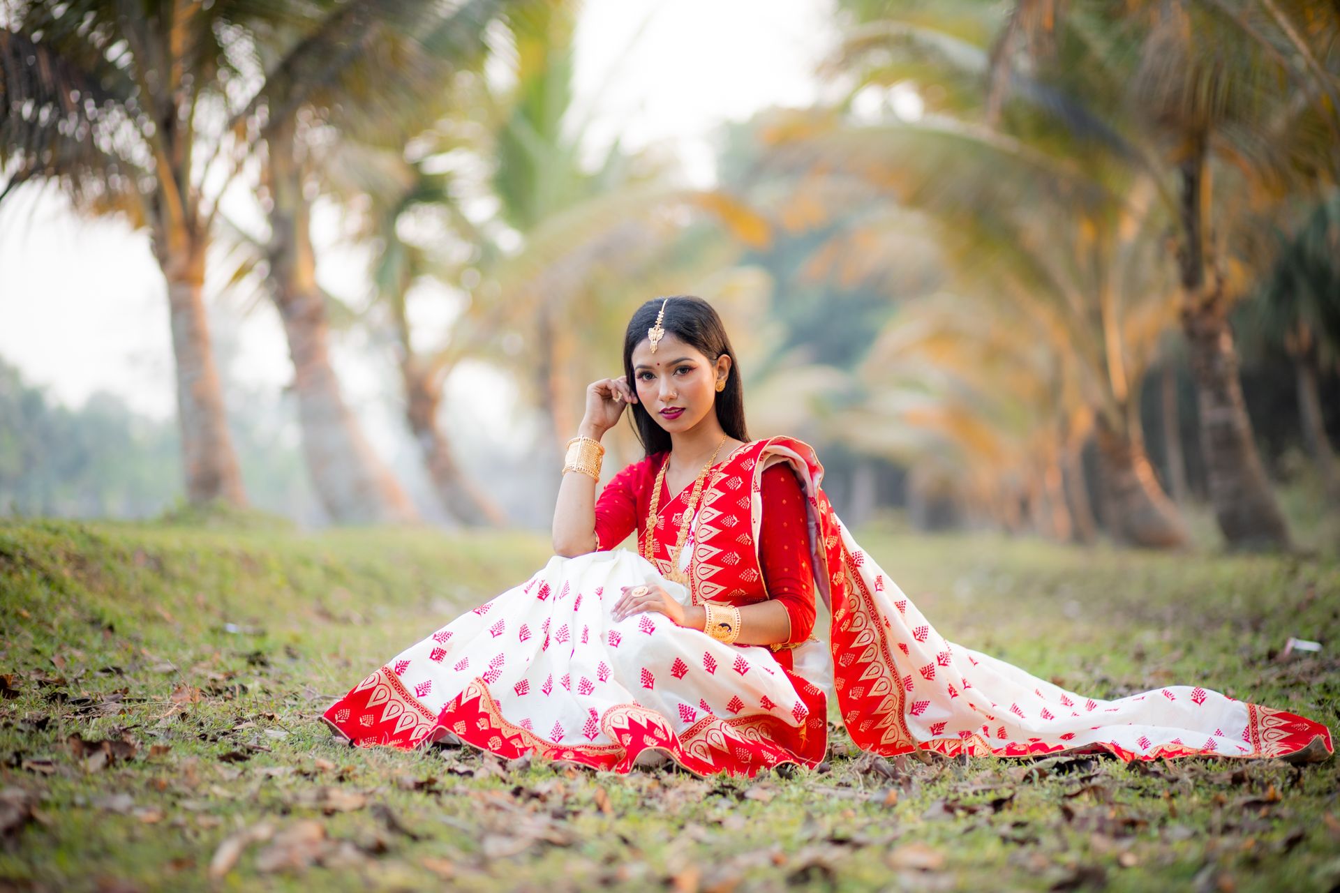 Sarees